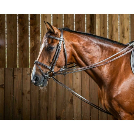 Hunter Draw Reins 1/2 - Working by Dy'on