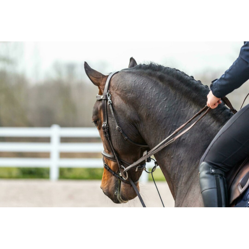Hunter Draw Reins 1/2 - Working by Dy'on
