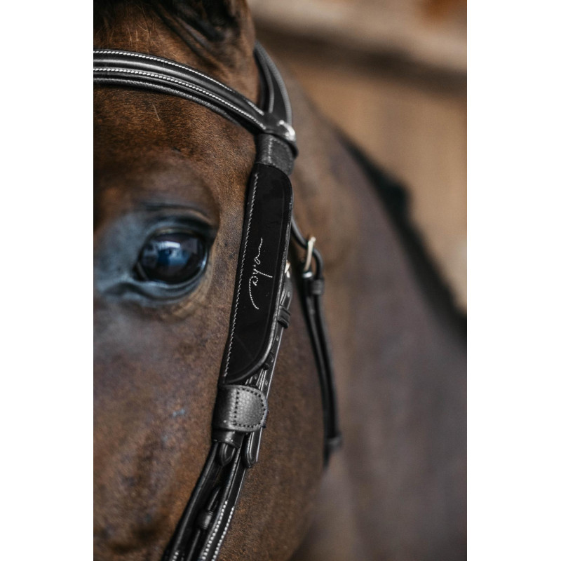 Focus Blinkers with Fancy - Dy'on