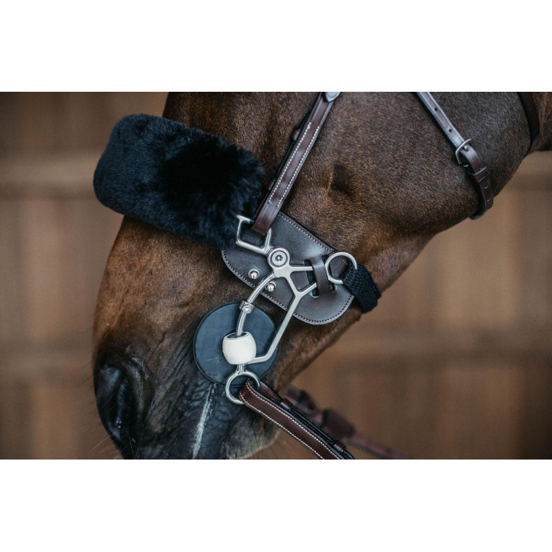 Tandem - Hackamore protection en cuir Dyon