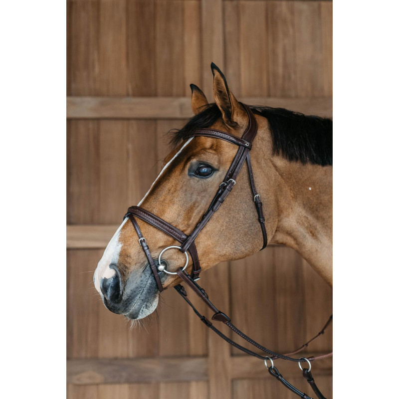 Plaited Flash Noseband Bridle - New English
