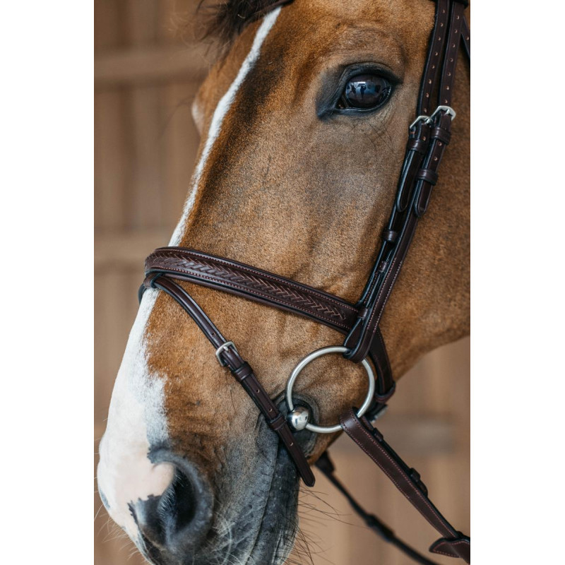 Plaited Flash Noseband Bridle - New English