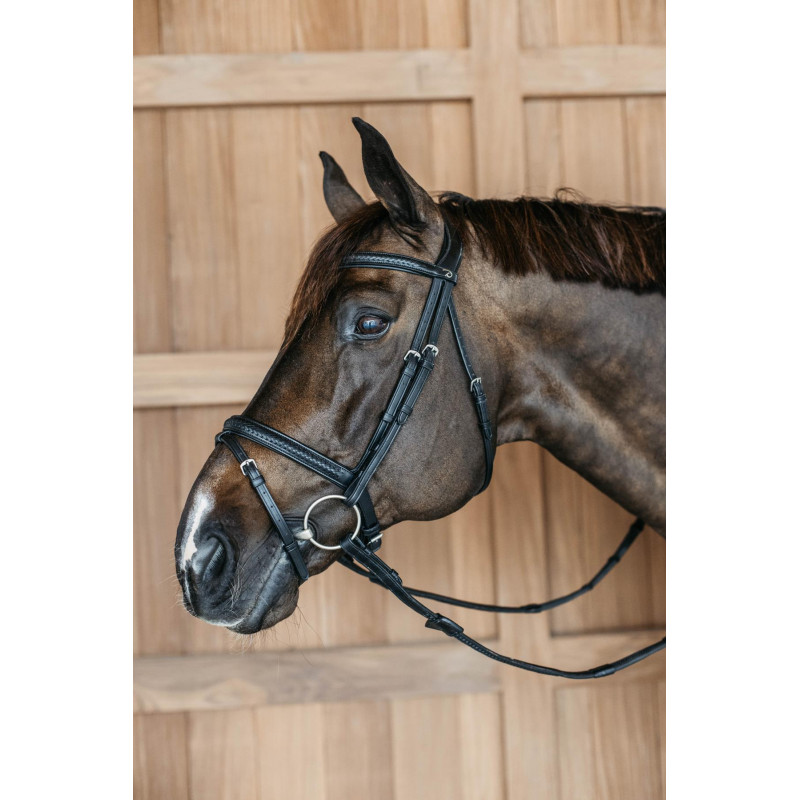 Plaited Flash Noseband Bridle - New English