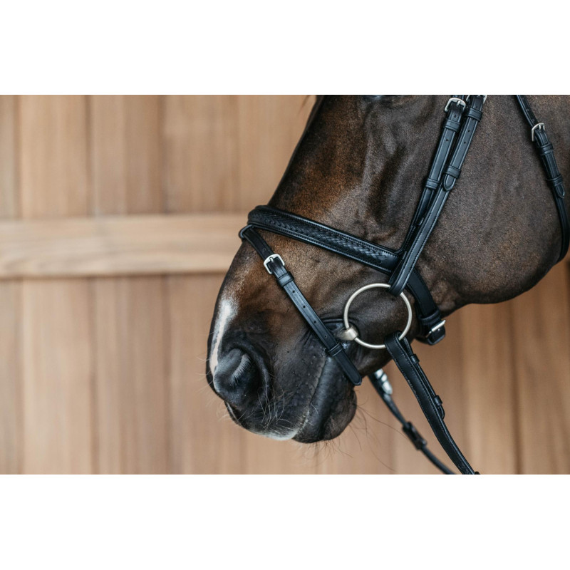 Plaited Flash Noseband Bridle - New English