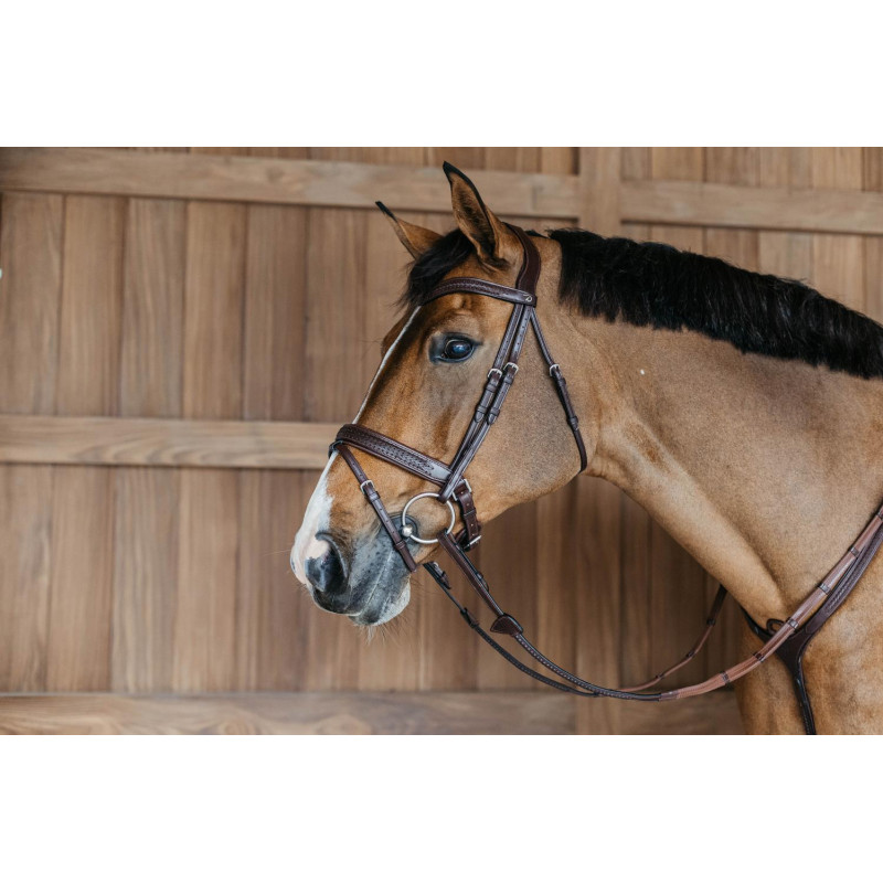Plaited Flash Noseband Bridle with Pull back - New English