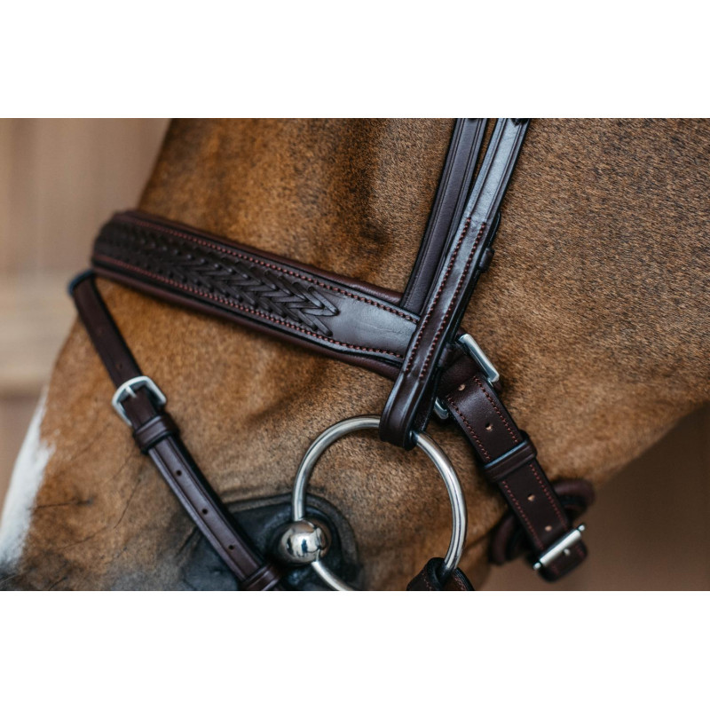 Plaited Flash Noseband Bridle with Pull back - New English
