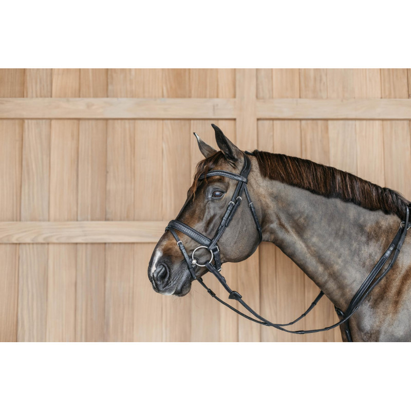 Plaited Flash Noseband Bridle with Pull back - New English