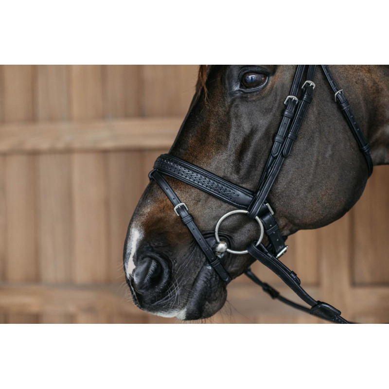 Plaited Flash Noseband Bridle with Pull back - New English