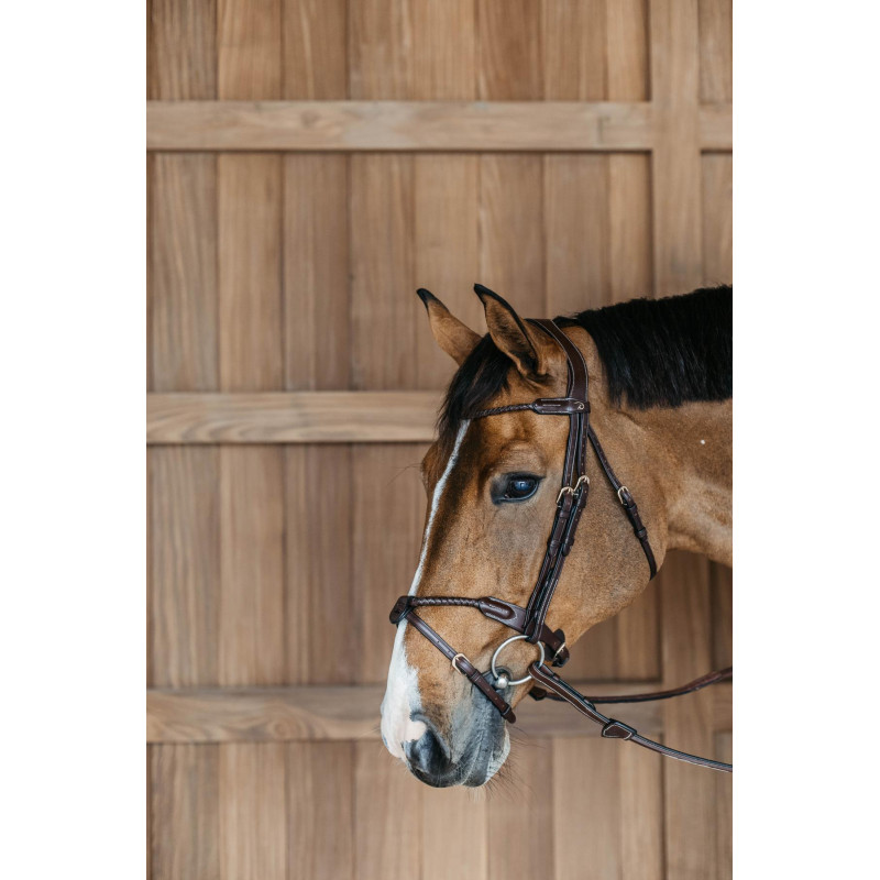 Braided noseband Bridle with removable flash - D Collection Dyon