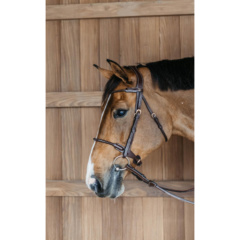 Braided noseband Bridle with removable flash - D Collection Dyon