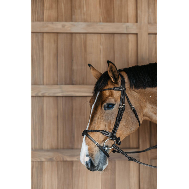 Braided noseband Bridle with removable flash - D Collection Dyon