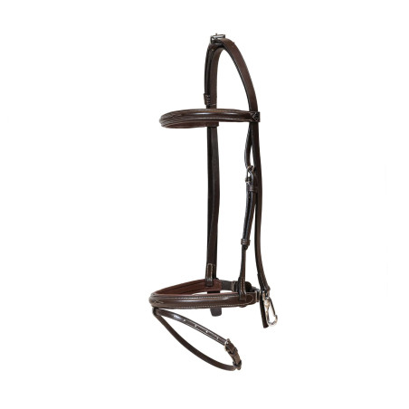 Training Bridle with Snap Hooks - Working by Dy'on