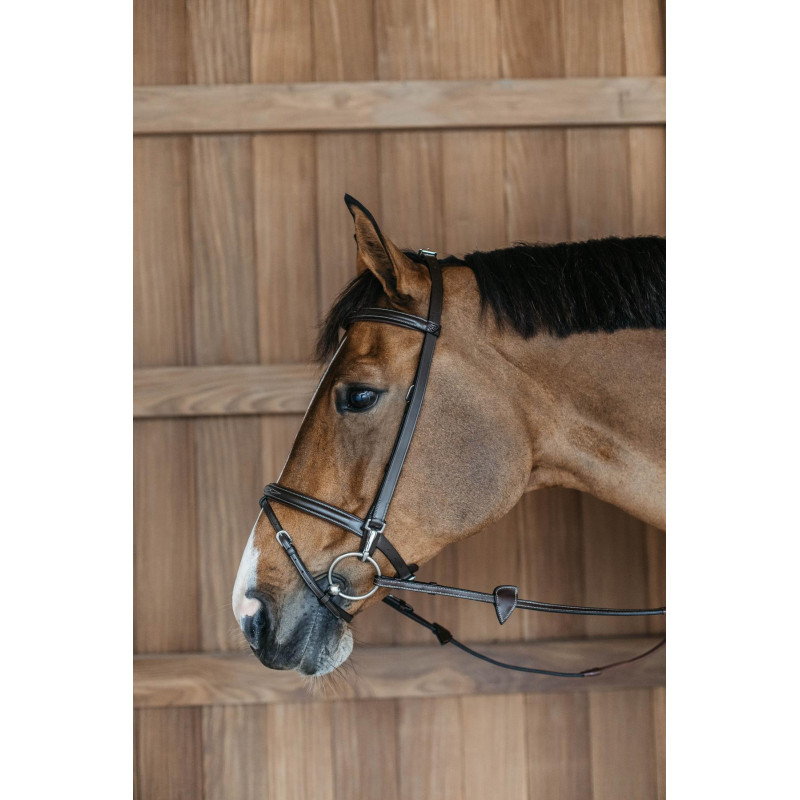 Training Bridle with Snap Hooks - Working by Dy'on