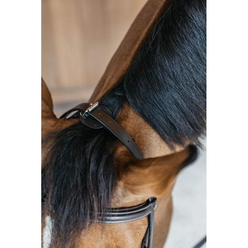 Training Bridle with Snap Hooks - Working by Dy'on