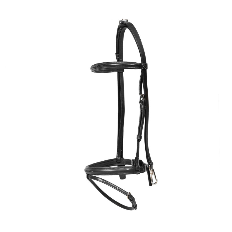 Training Bridle with Snap Hooks - Working by Dy'on