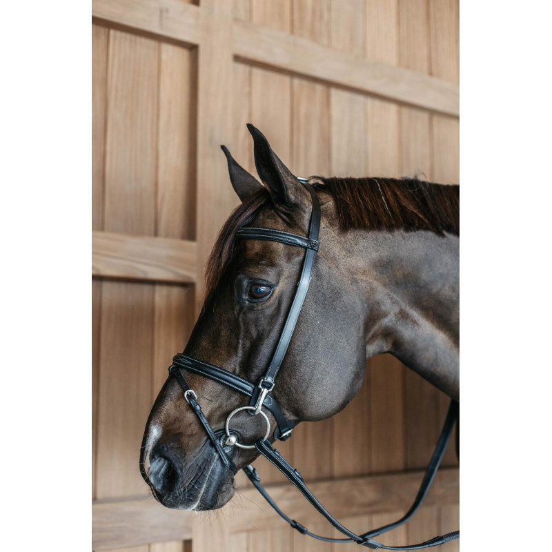 Training Bridle with Snap Hooks - Working by Dy'on