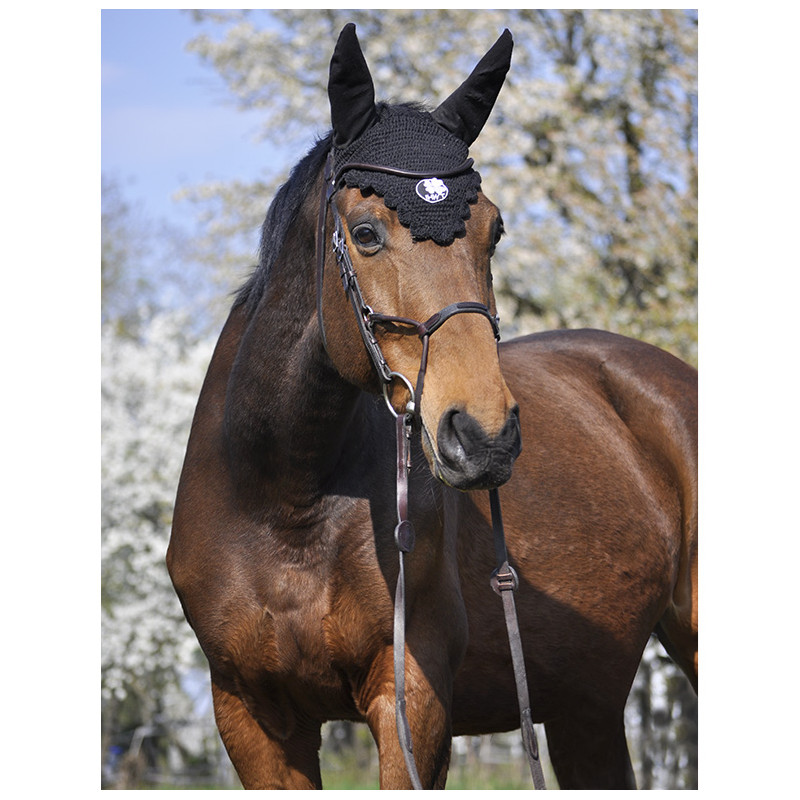 Bridle Evolution Infinity by IHWT