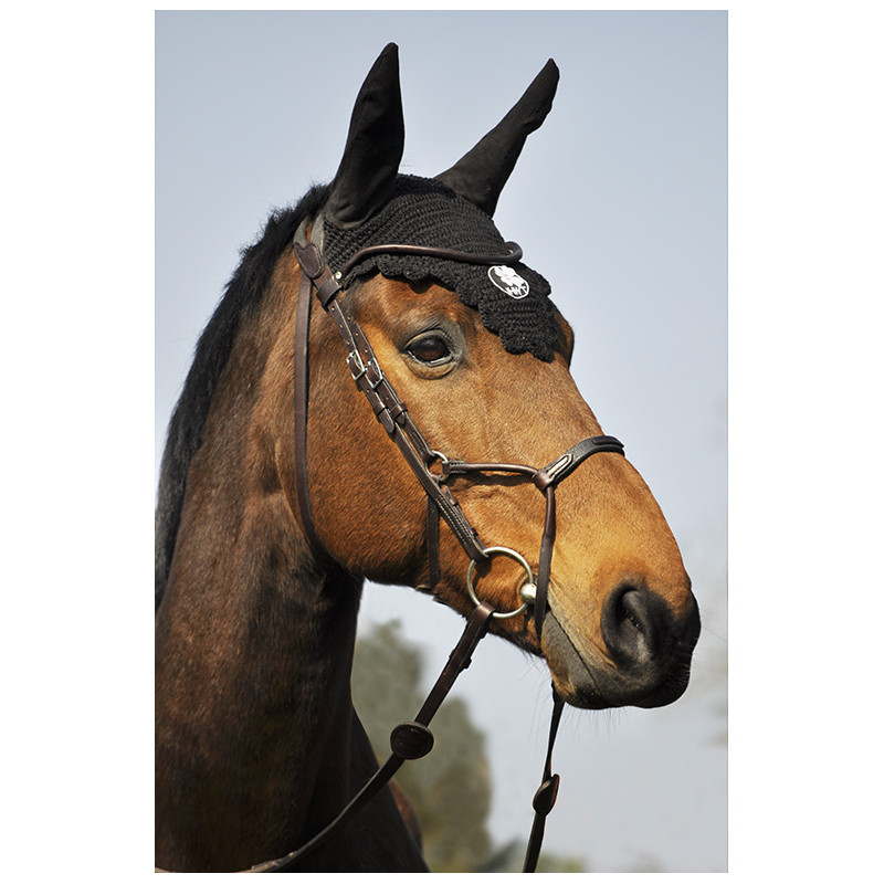 Bridle Evolution Infinity by IHWT