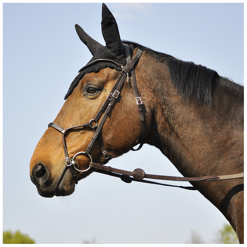 Bridle Evolution Infinity by IHWT
