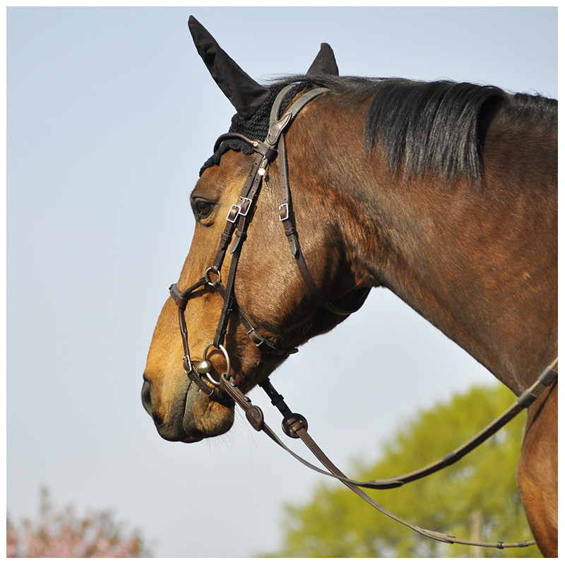 Bridle Evolution Infinity by IHWT