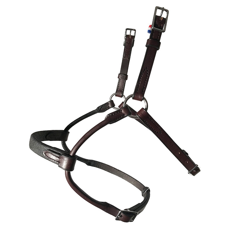 Bridle Evolution Infinity by IHWT