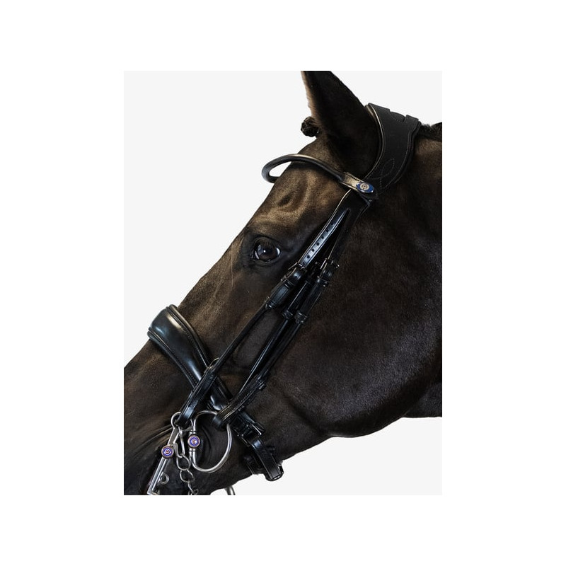 Double Bridle Passage