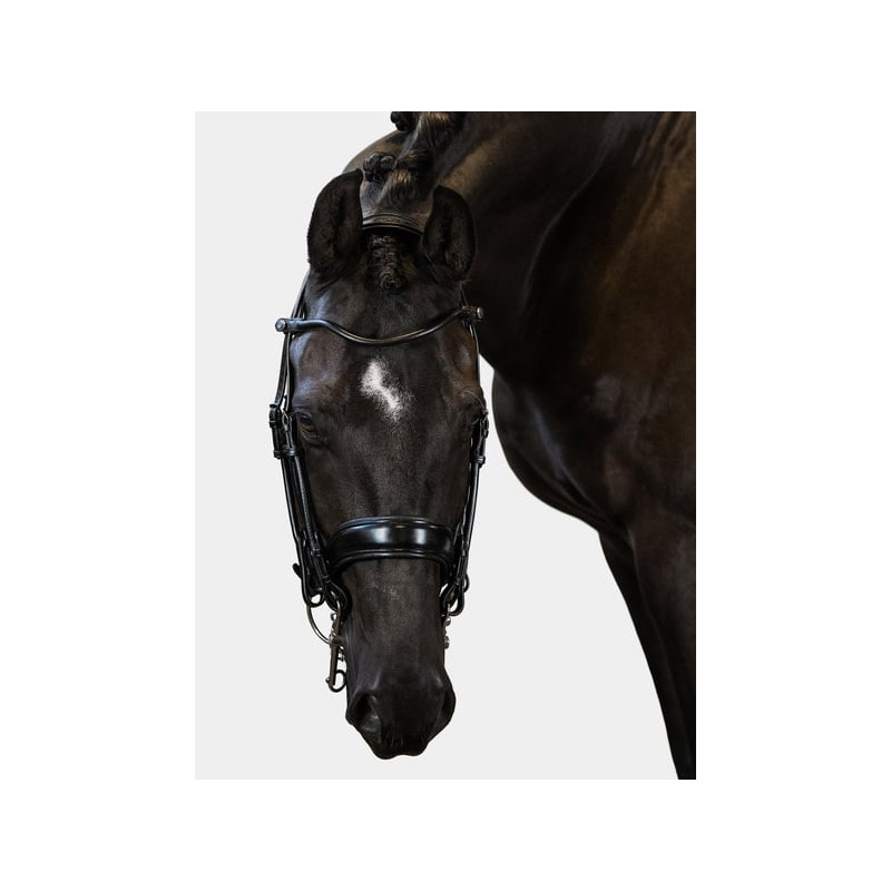 Double Bridle Passage