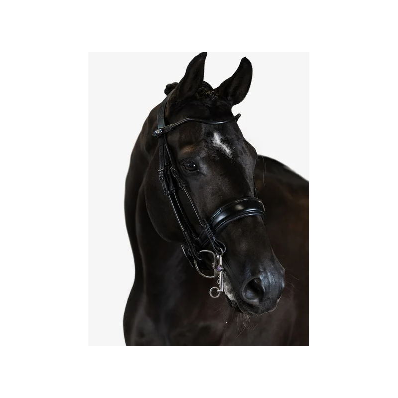 Double Bridle Passage