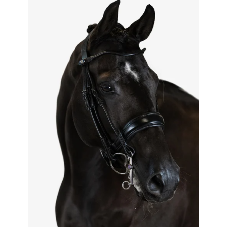 Double Bridle Passage