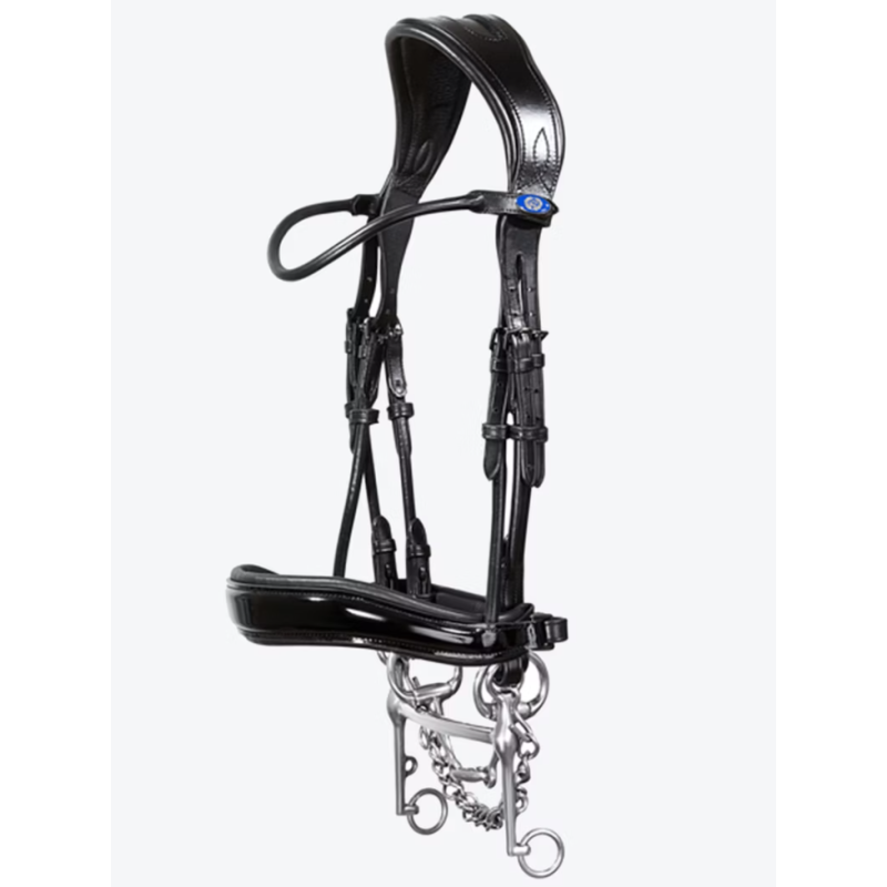 Double Bridle Passage