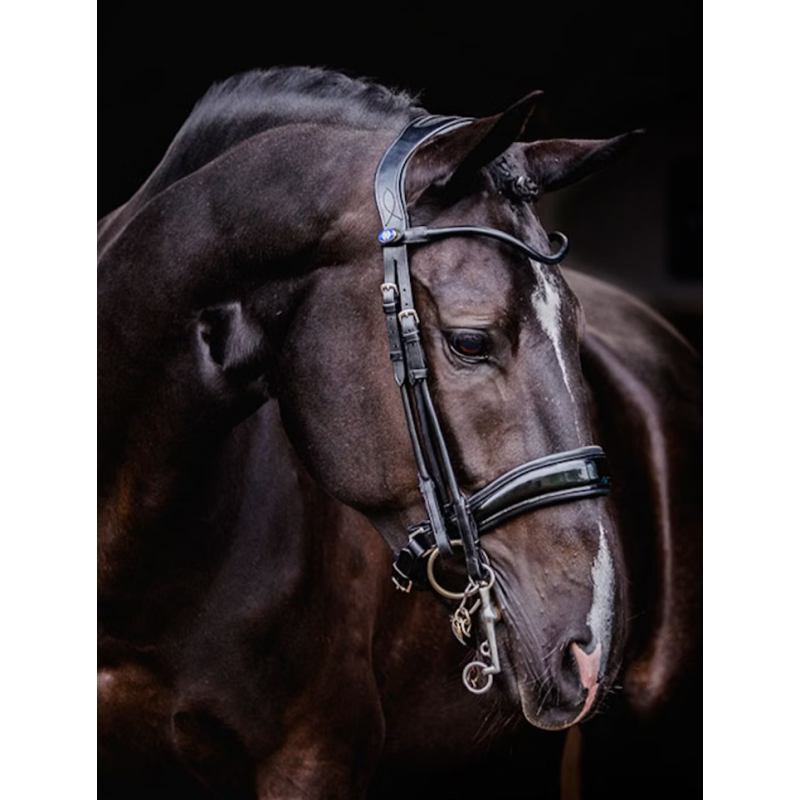 Double Bridle Passage