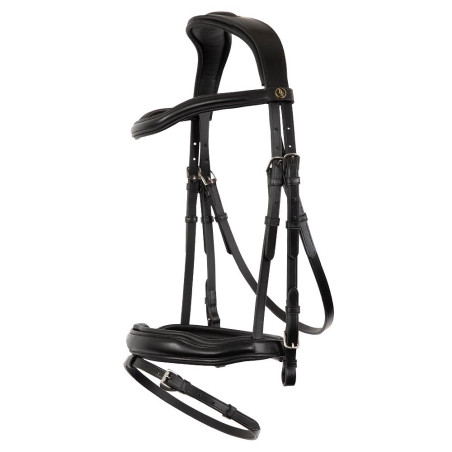 Bridle BR Luton