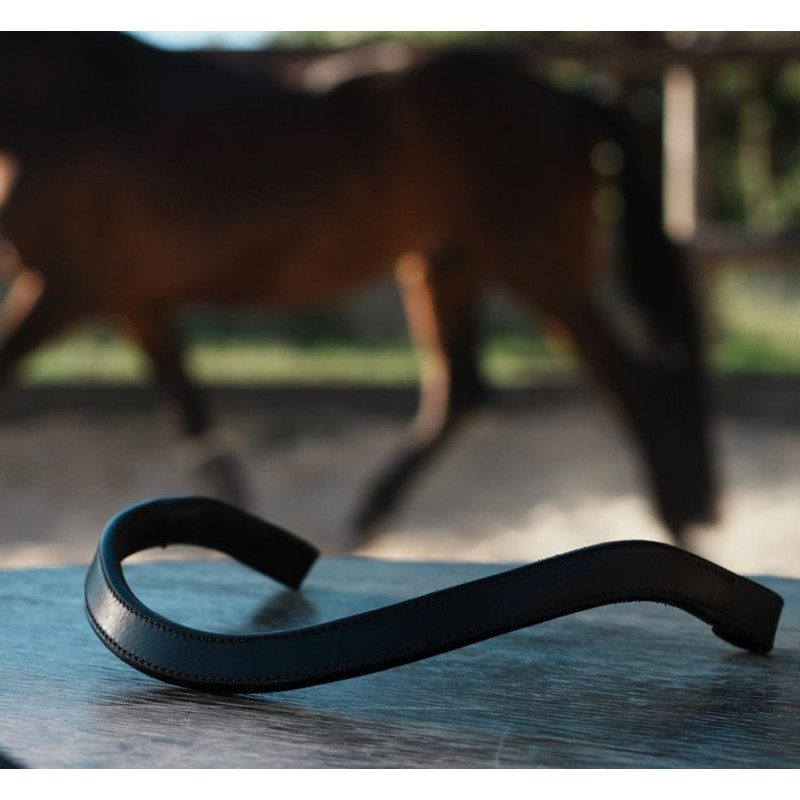 Browband Contact +