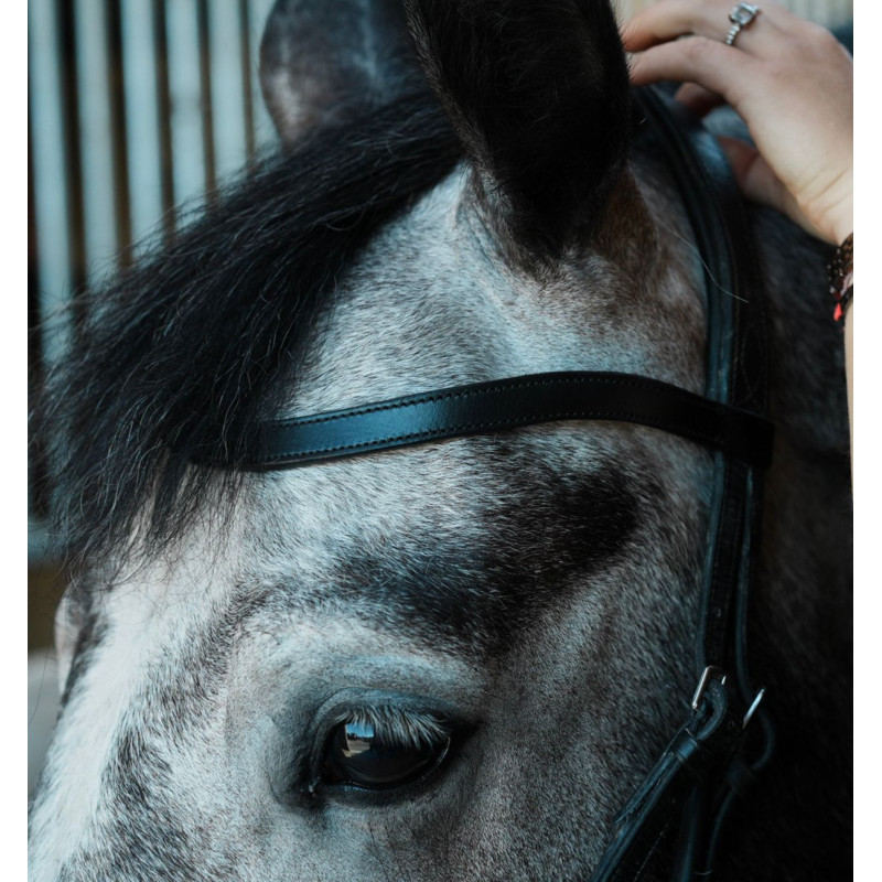 Browband Contact +