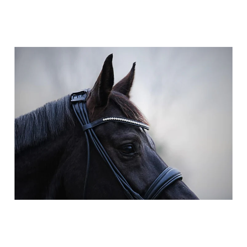 Browband Perform +