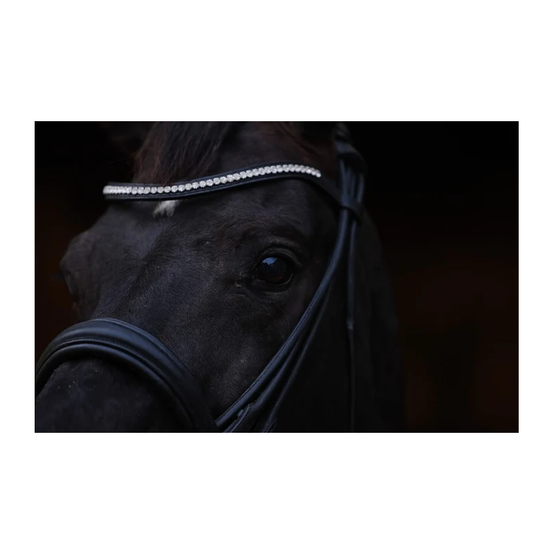 Browband Perform +