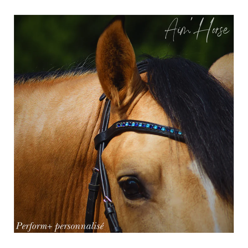Browband Perform +