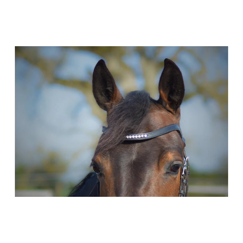 Browband Balance +