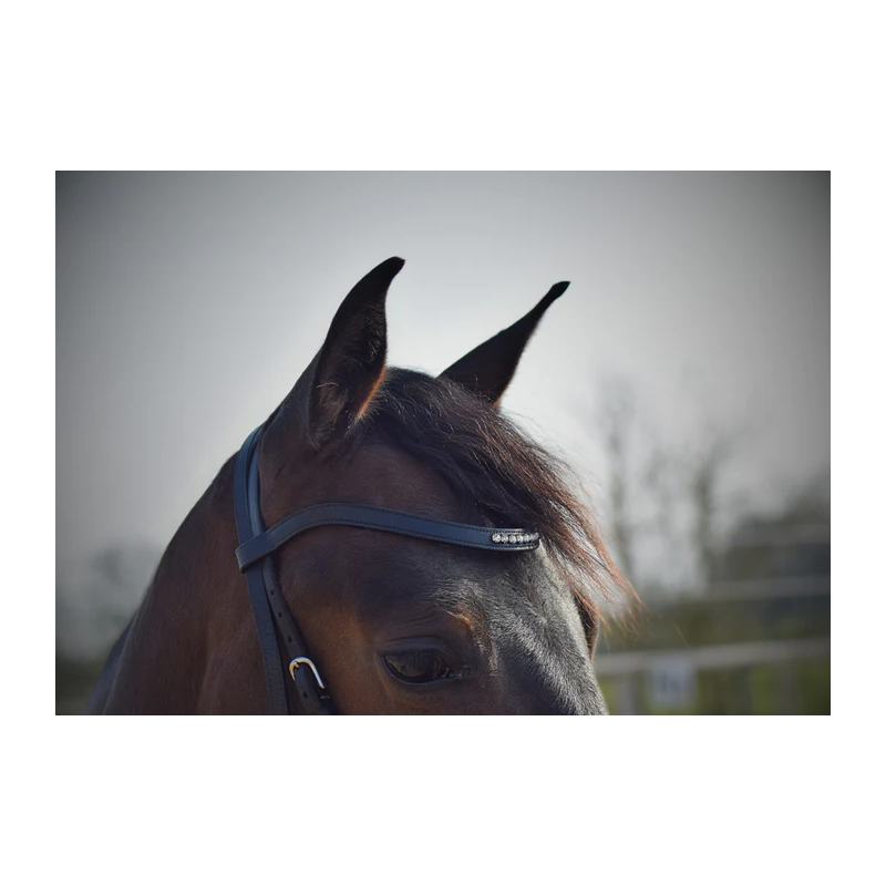 Browband Balance +