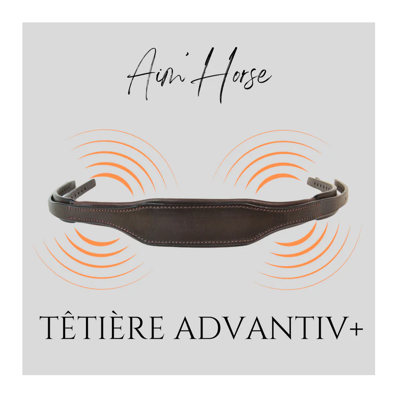 Head piece Advantiv + Aim Horse