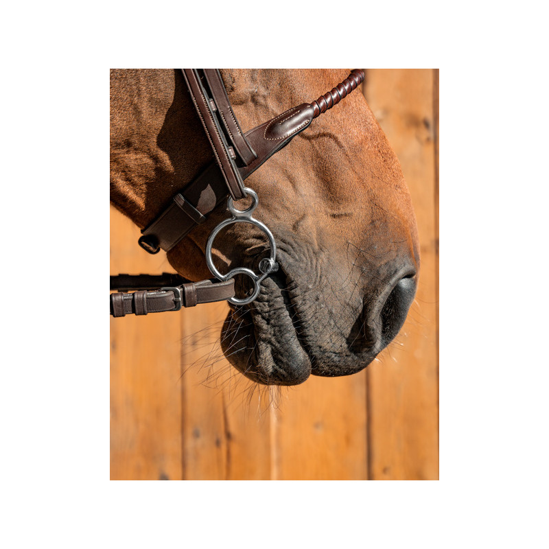 Mors Pessoa Universal simple brisure Gustav