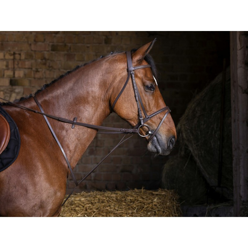 Fixed Martingale - Riding World