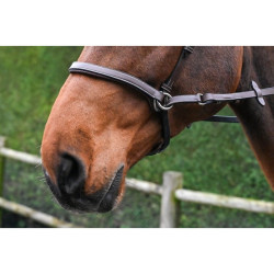 Bitless Bridle - One Collection