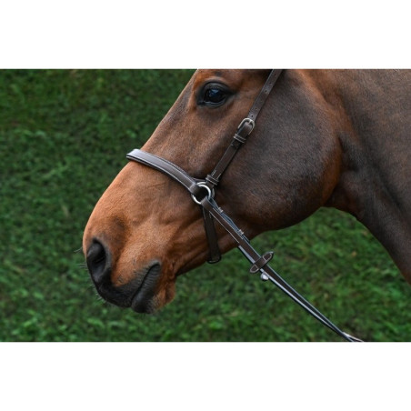 Bitless Bridle - One Collection