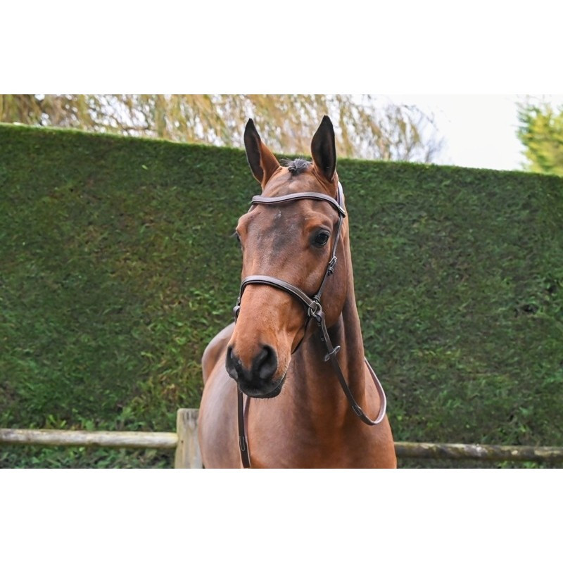 Bitless Bridle - One Collection