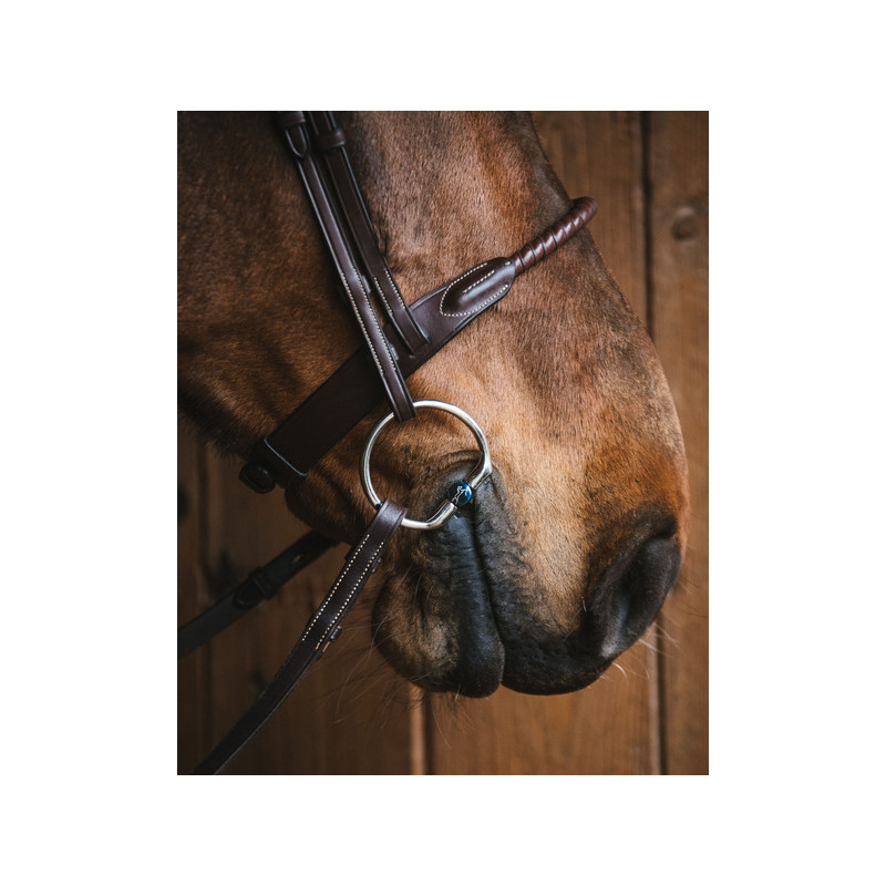 Bianca Titanium fixed rings