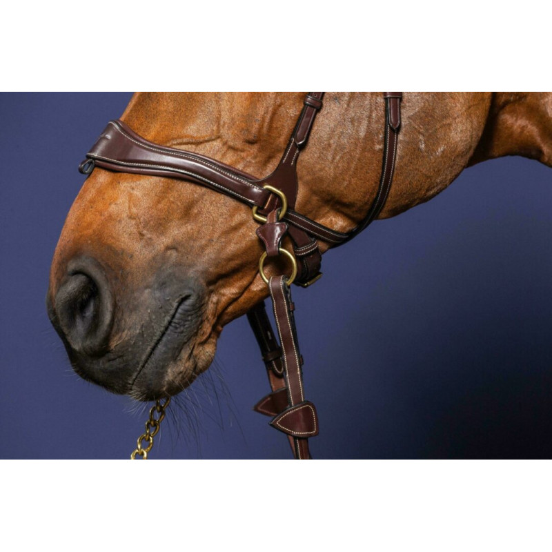 Flash Noseband - D collection Dy'on