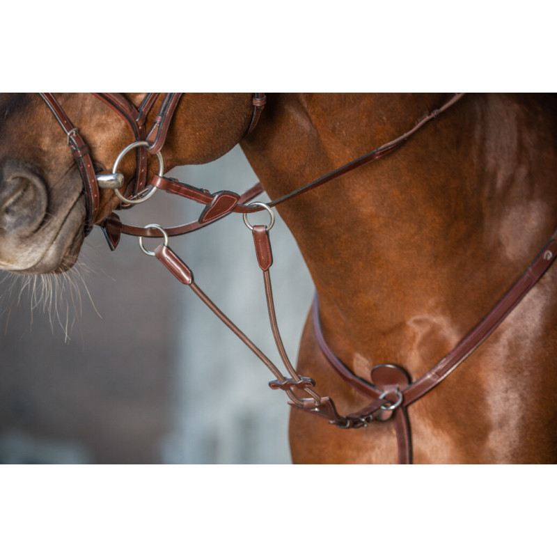 Elastic Running Martingale Attachment