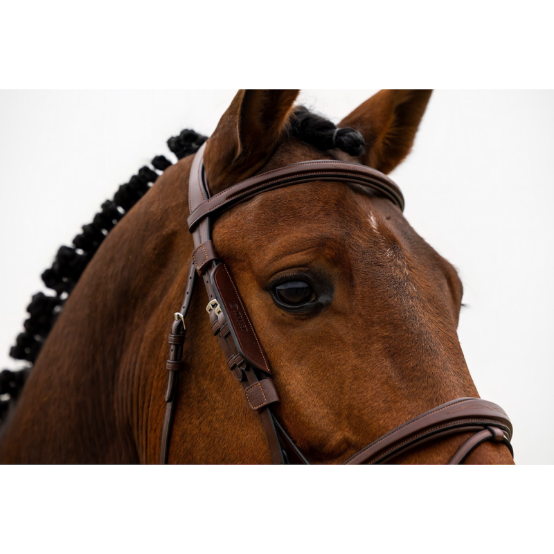 Blinkers Trust