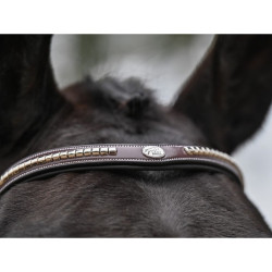 Clincher Bridle - One